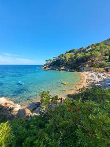 a beach with people and boats in the water at ANCORA GIGLIO home in Giglio Porto