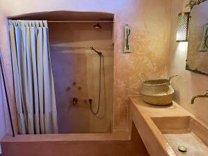uma casa de banho com chuveiro e cortina de chuveiro em Foresteria di Casa Winspeare em Depressa