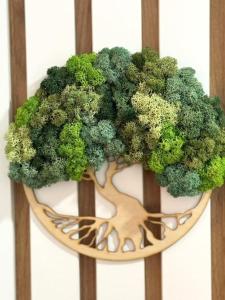 a plate of broccoli with a tree on it at Cozy and Stylish Apartament in Stara Zagora