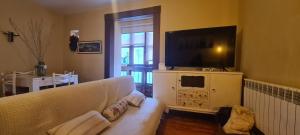 een woonkamer met een bank en een flatscreen-tv bij AREZA Con GARAJE in Zamora