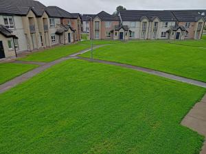 a lawn in front of a row of houses at Student Village 5 minutes from limerick city centre in Limerick