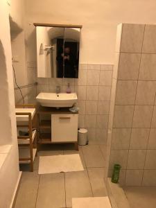 a bathroom with a sink and a mirror at Schön wohnen beim Stift in Melk