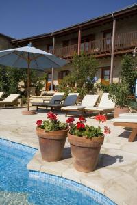 two large pots of flowers next to a swimming pool at Eveleos Country House in Tochni