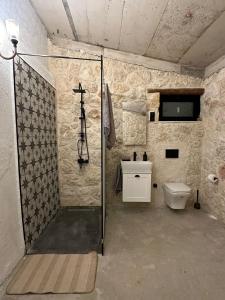 a bathroom with a shower and a toilet at The Hermitage: Timeless charm&Beach&History nearby in Yenibosazici