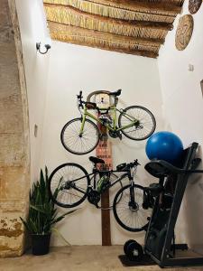 two bikes are hanging on a wall at The Hermitage: Timeless charm&Beach&History nearby in Yenibosazici