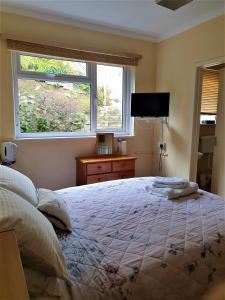 sypialnia z dużym łóżkiem i oknem w obiekcie Avoncourt Lodge w mieście Ilfracombe