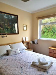 een slaapkamer met een groot bed en een raam bij Avoncourt Lodge in Ilfracombe