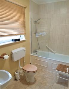 a bathroom with a toilet and a shower and a tub at Avoncourt Lodge in Ilfracombe