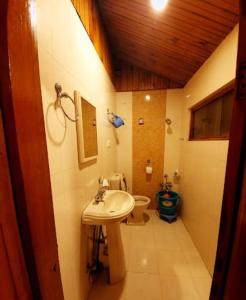 a bathroom with a sink and a toilet at Hotel The Holy Land in Pahalgām