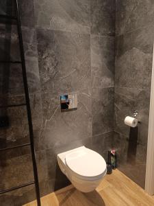 a bathroom with a toilet and a stone wall at Sosnowy Azyl in Wąglikowice