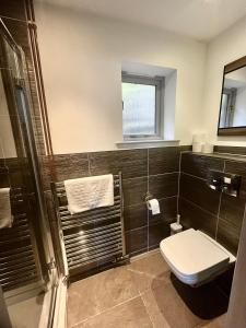 uma casa de banho com um WC e um chuveiro em Maple, Country Chalet in Pegsdon em Hexton