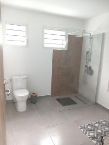 ein Bad mit einem WC und einer Dusche mit einer Glastür in der Unterkunft Ti kaz Salazie in Salazie
