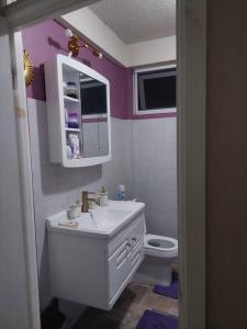 łazienka z białą umywalką i toaletą w obiekcie Hygge's Inn w mieście Roseau