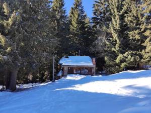 a cabin in the woods with snow on the ground at Chata 2 na Poľane in Hriňová