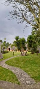 a stone path in a park with palm trees at Hawane Resort in Mbabane
