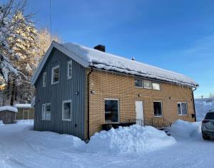 a house covered in snow in a yard at Spacious house in Trysil in Trysil