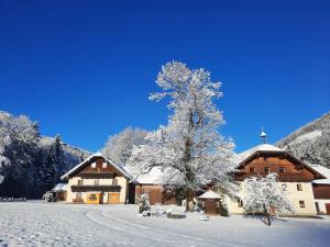 a snow covered building with a tree in front of it at Ferienhaus Laimerbauer in Faistenau +9 photos