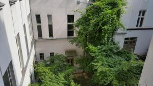 Zahrada ubytování Hotel Pension Kima