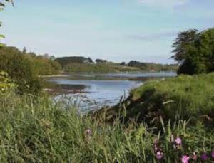 - Vistas al río desde un campo con flores en Maison dans son écrin de verdure, en Plouvien