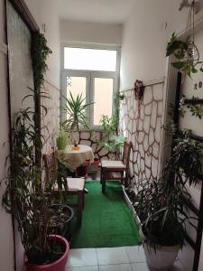 a room with a table and chairs and potted plants at Ονειροπαγίδα in Veria