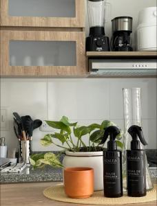 un bancone della cucina con due bottiglie nere e una pianta di Apartamento nuevo Manizales. a Manizales