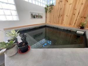 una piscina de agua en una habitación con plantas en Sam & Chlo Studio & Appartment - Grand Baie - Mauritius, en Grand Baie