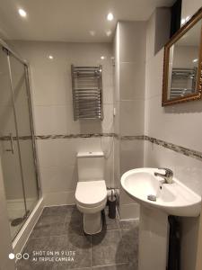 een badkamer met een toilet en een wastafel bij Cosy Studio Flat in Londen