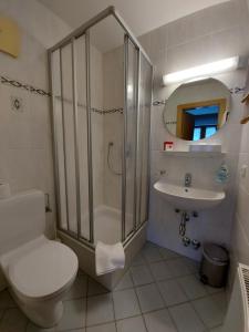 een badkamer met een douche, een toilet en een wastafel bij Haus Monika und Haus Claudia in Mayrhofen