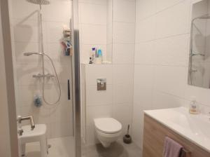 a bathroom with a shower and a toilet and a sink at Chez Dori Chambre privée in Bischheim