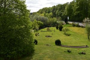 ein Grasfeld mit Bäumen und einem Wasserkörper in der Unterkunft Schlei-Liesels Ferienwohnungen in Güby