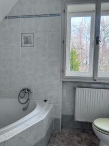 a bathroom with a tub and a toilet and a window at Penzion Landštejnský dvůr in Slavonice