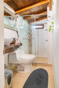 La salle de bains est pourvue d'une douche et de toilettes. dans l'établissement Apartamento en el CENTRO HISTORICO de Mompós, à Mompos
