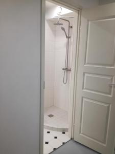 a bathroom with a shower and a white door at Matrix Garden Apartments in Tallinn