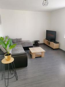 sala de estar con sofá y TV en Fleurs de Lys en Saint-Germain-Lespinasse