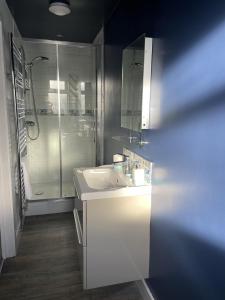 a bathroom with a sink and a shower at Porthkidney Suite, Carbis Bay, St Ives, free parking, near beach in Carbis Bay