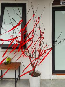 un albero decorato con nastro rosso accanto a una panchina di Boong Home - Pác Bó, Cao Bằng 