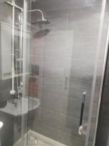 a bathroom with a shower and a sink at Regal Comfort Apartment in Pirot