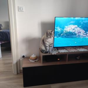 TV a/nebo společenská místnost v ubytování Chez Dori Chambre privée