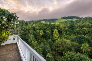 uma varanda com vista para uma floresta em The Chocolate Factory House, Kandy em Kandy