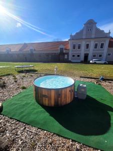 una piccola piscina d'acqua su un campo verde di Chateau Moravany - apartmány, teepee a wellness a Ronow an der Doubrava