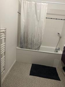 ein Bad mit Dusche und Duschvorhang in der Unterkunft Vue sur canal et Stade de france in Aubervilliers