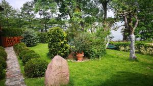 a garden with plants and a rock in the grass at Domek letniskowy OLEK in Ryn