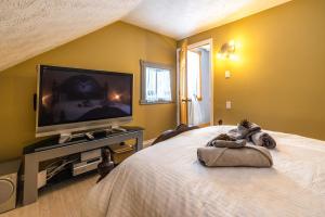 a bedroom with a bed with a flat screen tv at Rustic Villa Country Getaway in Saint-Gabriel-de-Brandon