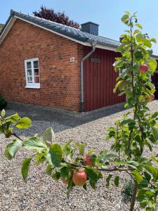 an apple tree in front of a brick building at Ferienhaus Lönnehus in Fehmarn