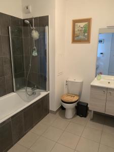 a bathroom with a toilet and a shower and a sink at Whole apartment - Saint-Denis, France in Saint-Denis