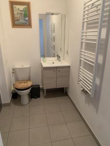 a bathroom with a toilet and a sink at Whole apartment - Saint-Denis, France in Saint-Denis