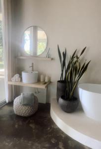 baño con lavabo, espejo y planta en OYA - Wellness Eco Resort & Retreat, en Jamao al Norte