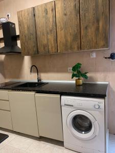 a kitchen with a washing machine and a sink at Segundo Antolín Yellow Door in Ponferrada