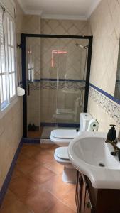 y baño con aseo, lavabo y ducha. en Apartamentos La Palma en Ubrique