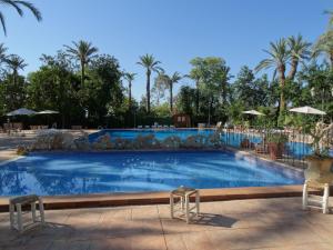克雷維連特的住宿－拉斯帕梅拉茲酒店，一个带两把椅子和棕榈树的大型游泳池